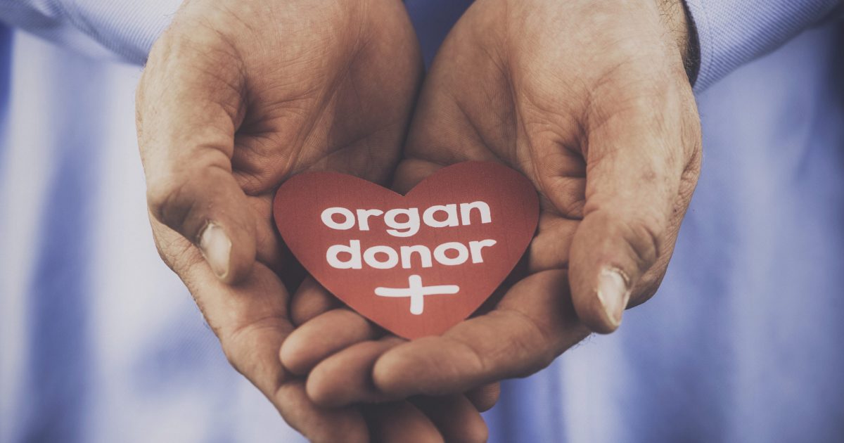 A reminder of the importance of organ donation. Male hands holding heart with a message that reads: Organ donor.